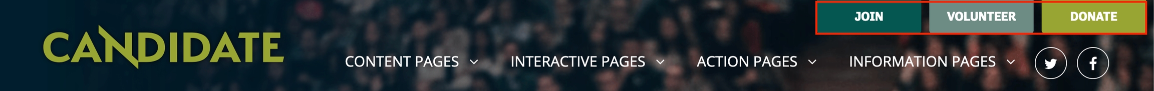 Primary action buttons in the Candidate Theme